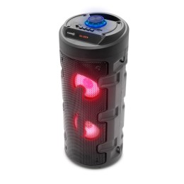 Портативная колонка FUMIKO DEKKER FBS21-01 (Bl/USB/TF/AUX/цветомуз/микр/ПДУ/2×12Вт) черная