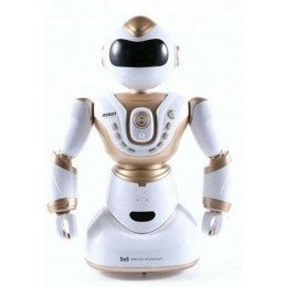 Робот на радиоуправлении MZ Pookaa 2.4Ghz Intelligent Dialogue Robot бело-золотой (кит.язык)